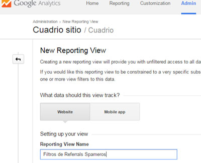 Google Analytics: Vistas de reportes.